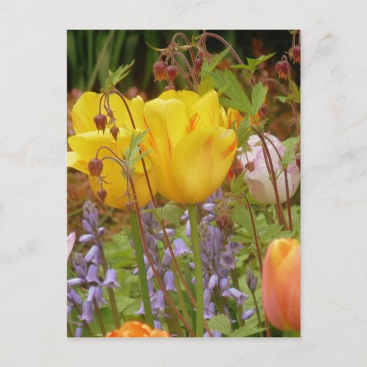 優しさの花 ポストカード (正面)