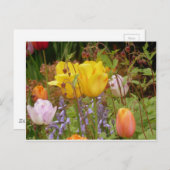 優しさの花 ポストカード (正面/裏面)