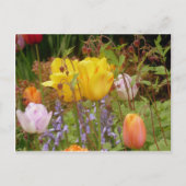 優しさの花 ポストカード (正面)