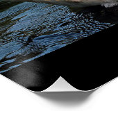 優しさ ポスター (コーナー)