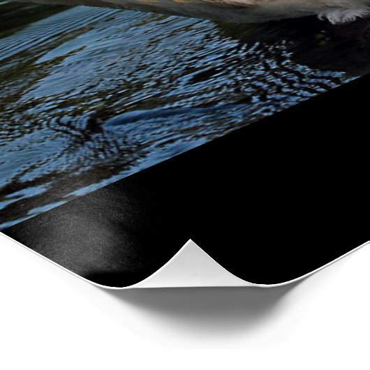 優しさ ポスター (コーナー)