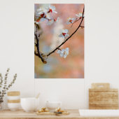 優れたア日本のプリコットの花 ポスター (キッチン)