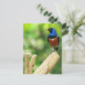 優れたスターリングはがき ポストカード (スタンド正面)