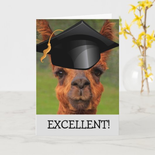 優れたラマ卒業 カード (黄色い花)