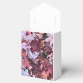 優勝者の栄光の秋(3) フェイバーボックス (オープン)