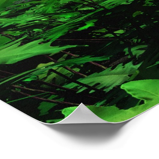 優勢な森林 – 極端 ポスター (角)