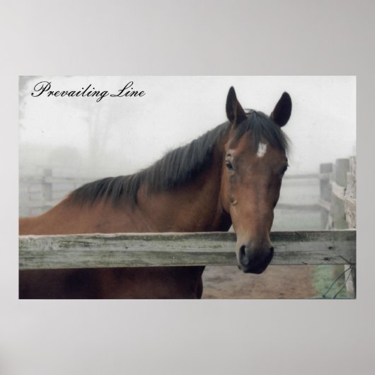 優勢な線プリント ポスター (正面)