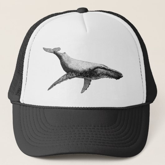 優美なザトウクジラ キャップ (正面)