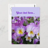 優美なヴィオラス ポストカード (正面/裏面)