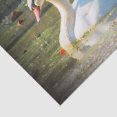 優美な白鳥 薄葉紙 (詳細)