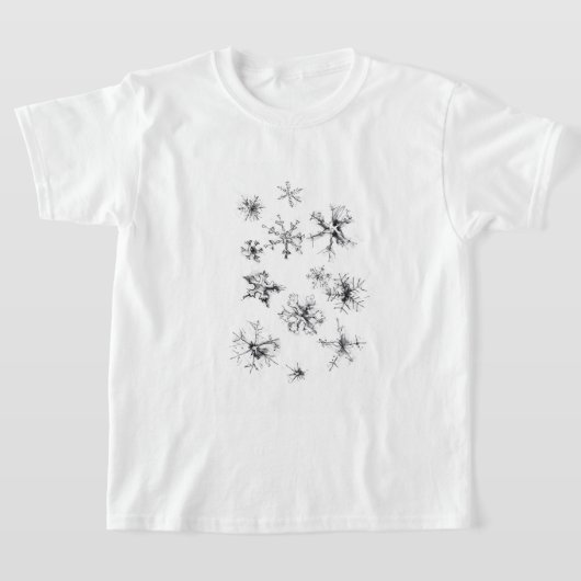 優美な雪片の舞い降り Tシャツ (レイダウン)