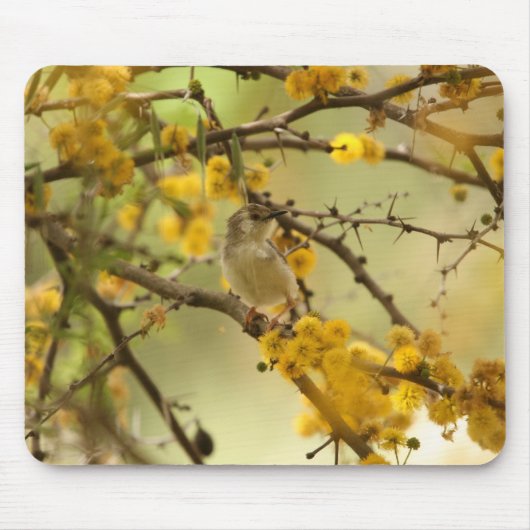 優美なPrinia マウスパッド (正面)