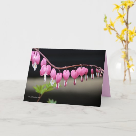 優美 カード (黄色い花)