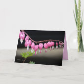 優美 カード (正面)