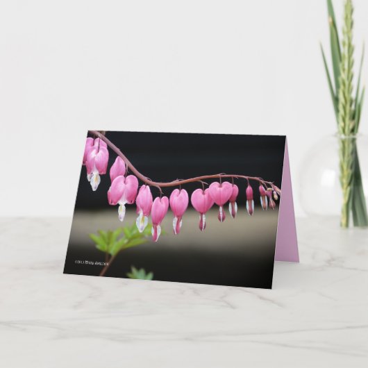 優美 カード (正面)