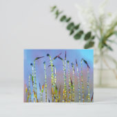 優雅で心地よい、雫の植物モチーフ ポストカード (スタンド正面)