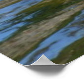 優雅なアグレの鳥とアヒルのポスター ポスター (角)