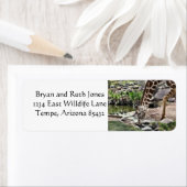 優雅なキリン ラベル (インサイチュ)