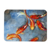 優雅なコイII マグネット (横)