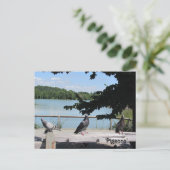 優雅なハト ポストカード (スタンド正面)