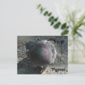 優雅なハト ポストカード (スタンド正面)