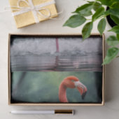 優雅なフライト:ピンクのフラミンゴスのリバーダンス 薄葉紙 (ギフト)