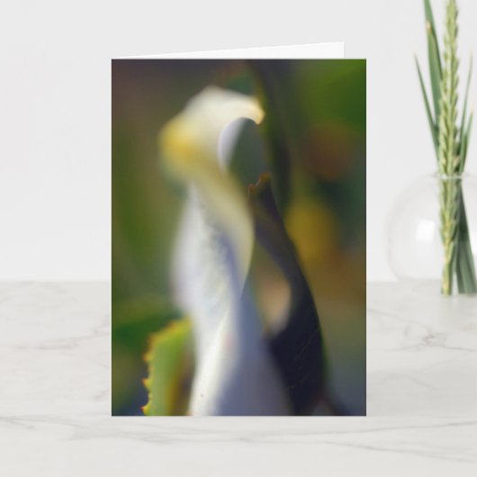 優雅なフローラ折り空白のカード サンキューカード (正面)