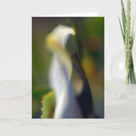 優雅なフローラ折り空白のカード サンキューカード