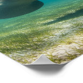 優雅なマナティー ポスター (角)