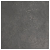 優雅な影の中で：黒い白鳥。 ファブリック (見本)