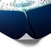 優雅な斑点のあるレイ:水中の静穏 ポスター (角)