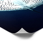優雅な斑点のあるレイ：水中の静穏 ポスター (角)