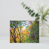 優雅な木カラフル々葉の景勝自然 ポストカード (スタンド正面)