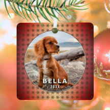 優雅な犬のペット写真ゴールデンスノーフレーククリスマス