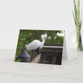 優雅な白いアグリの鳥のノートカード カード