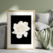 優雅な白アネモン フォトプリント           