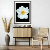 優雅な白アネモン フォトプリント           