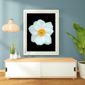 優雅な白アネモン フォトプリント           