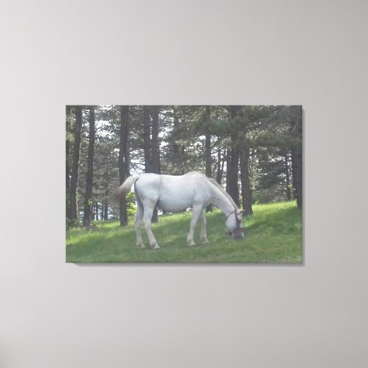 優雅な美しい白馬のオリジナルアート キャンバスプリント (正面)