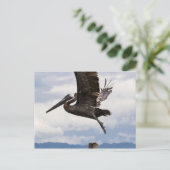 優雅な茶色のペリカン ポストカード (スタンド正面)
