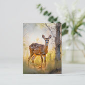 優雅な鹿インザフォレスト自然デザイン ポストカード (スタンド正面)