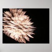 優雅な ポスター (正面)