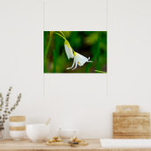 「優雅に曲がる」にんにく偽ポスター ポスター (キッチン)