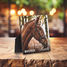 優雅に永遠に私たちの心の中 馬記念