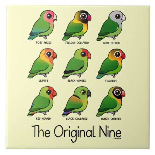 元の9 タイル (正面)