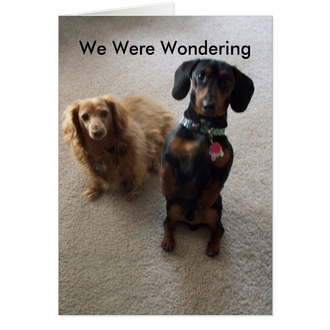 元気か？ (正面)