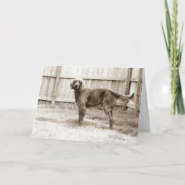 元気か？ カード