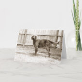 元気か？ カード (正面)