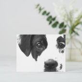 元気か？ ポストカード (スタンド正面)