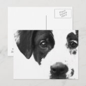 元気か？ ポストカード (正面/裏面)